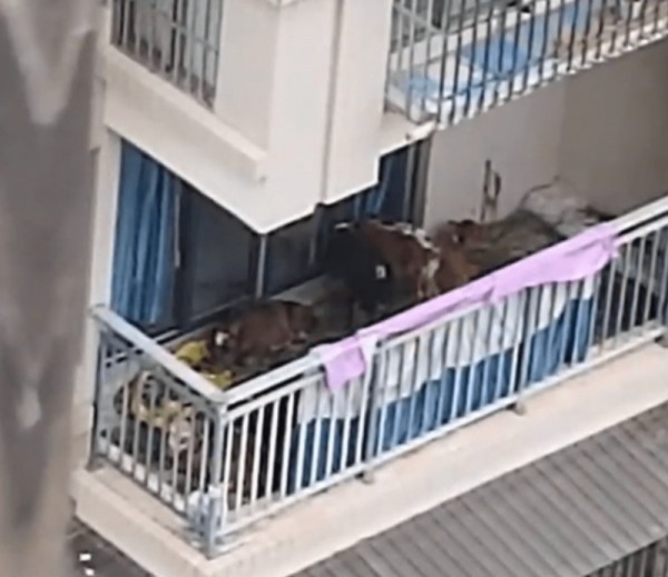 201.jpg