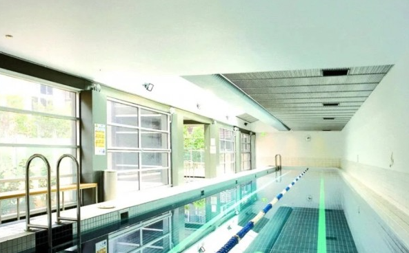 swimming pool.png