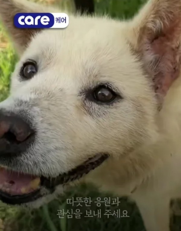 52-3.jpg