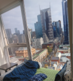 window share room.png